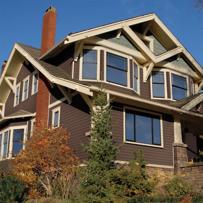 Vinyl Siding Company | Surface Bella | Greenville SC Vinyl Siding Company | Surface Bella | Greenville SC